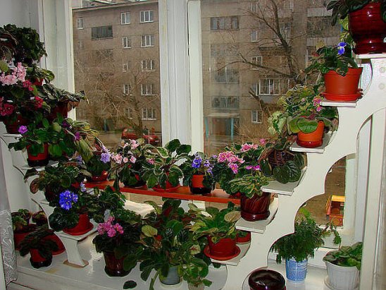 Полки для фиалок Полки для фиалок